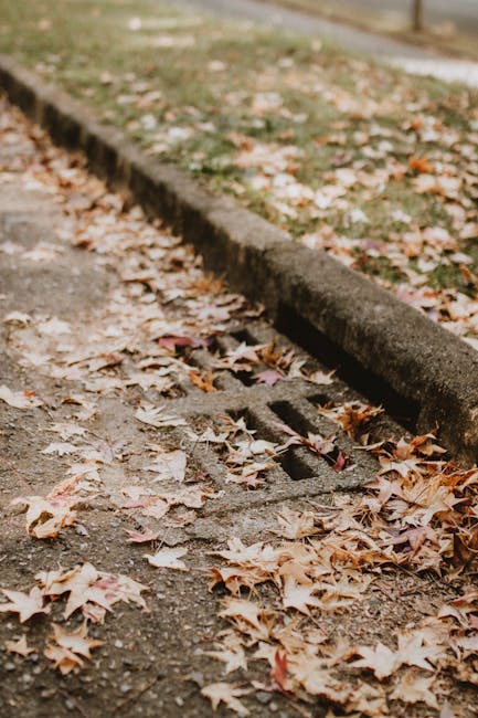 Photo by João Vítor Heinrichs on Pexels
