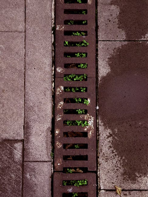 Photo by Nikos Kazancakis on Pexels